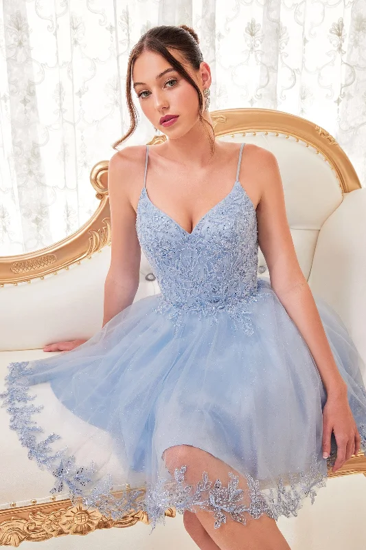 Comfortable casual party dresses for relaxed events -Lace Applique Short Sleeveless Dress by Ladivine CD0213