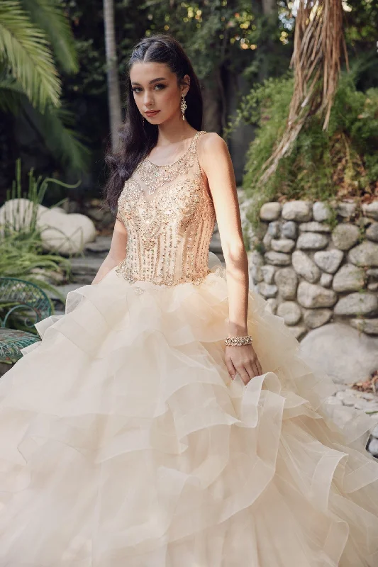 formal dresses with floral appliques for romantic looks --Ruffled Sleeveless Illusion Ball Gown by Juliet 1423